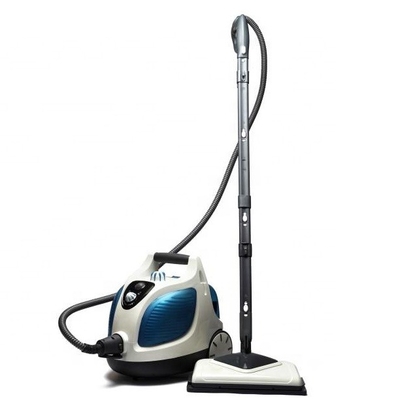 Commercial Electric Appliances Tool Carpet Car Seat Steam Heating Fast Cleaning High Temperature Stripper
